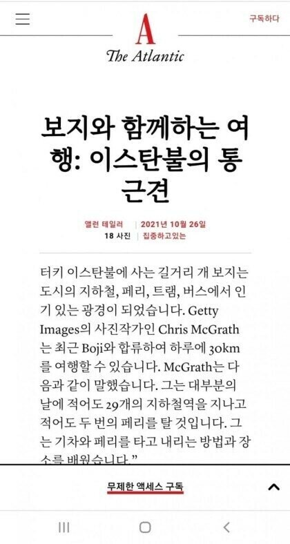 보1지와 함께하는 여행_1.jpg