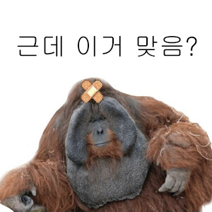 한강 버스는 대체 뭘까...?_2.png