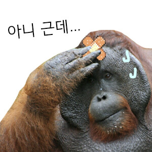 아리셀 2심 재판 킬포.news_3.png