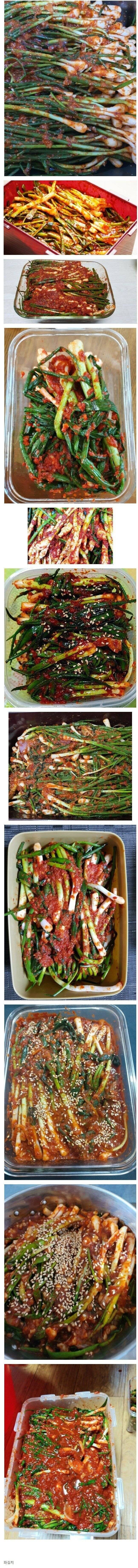 취향 타는 김치.jpg_1.jpg