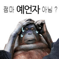푸바오 돌아오는 주파수_4.jpg