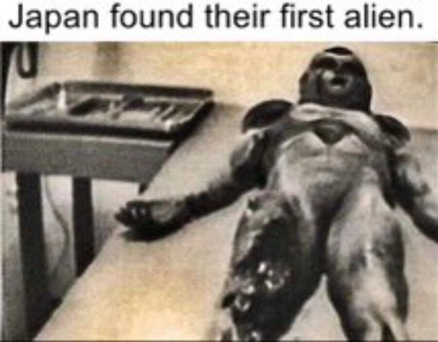 [유머] 외계인이 있다는 증거.jpg_1.jpg