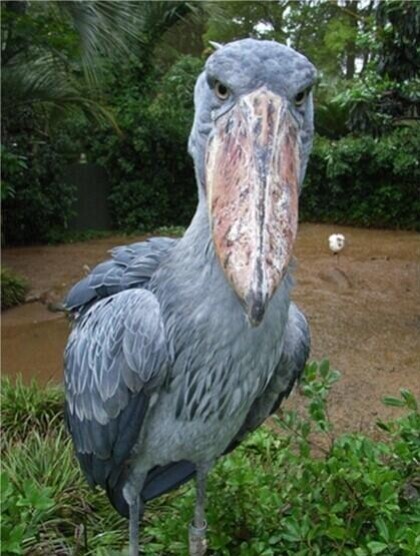 각도빨이 심한 짐승.jpg_2.jpg