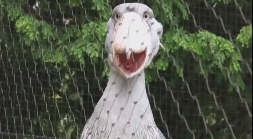 각도빨이 심한 짐승.jpg_4.jpg