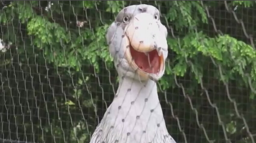 각도빨이 심한 짐승.jpg_5.jpg