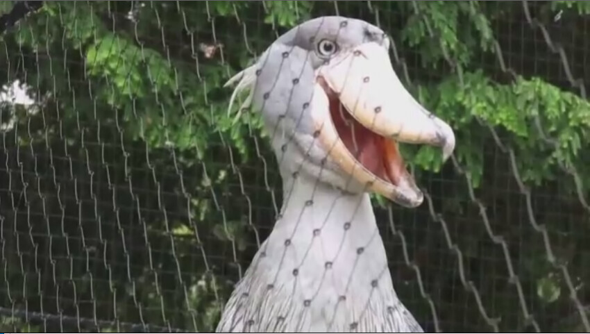 각도빨이 심한 짐승.jpg_6.jpg