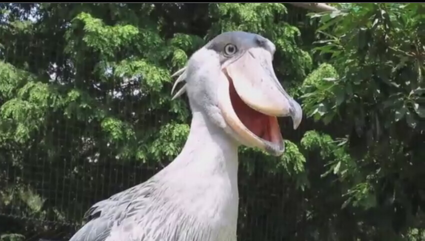 각도빨이 심한 짐승.jpg_7.jpg