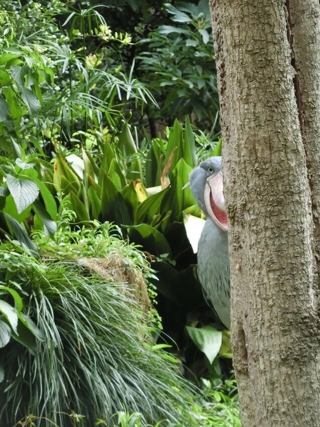 각도빨이 심한 짐승.jpg_8.jpg