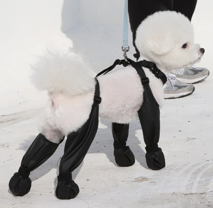 드디어 나온 안벗겨지는 강아지신발_2.jpg