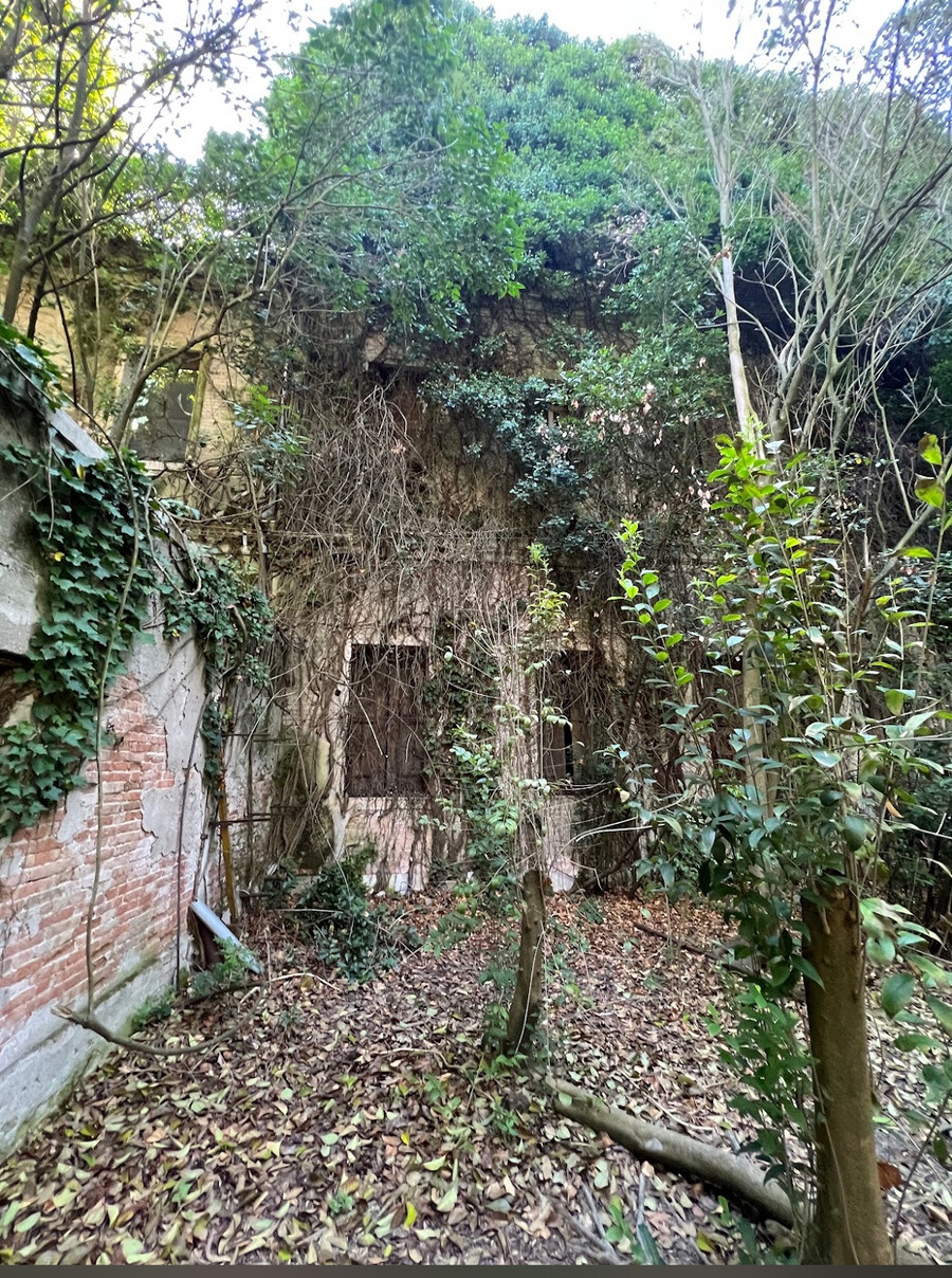 이탈리아에서 유령이 나온다고해서 유명한 어느 버려진 섬.jpg_8.jpg