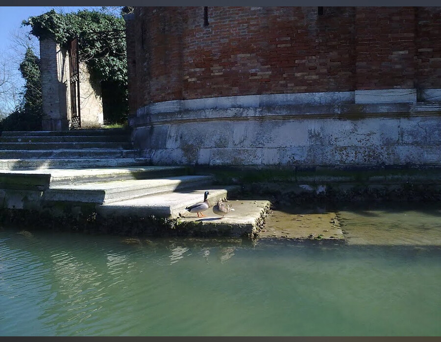 이탈리아에서 유령이 나온다고해서 유명한 어느 버려진 섬.jpg_9.jpg