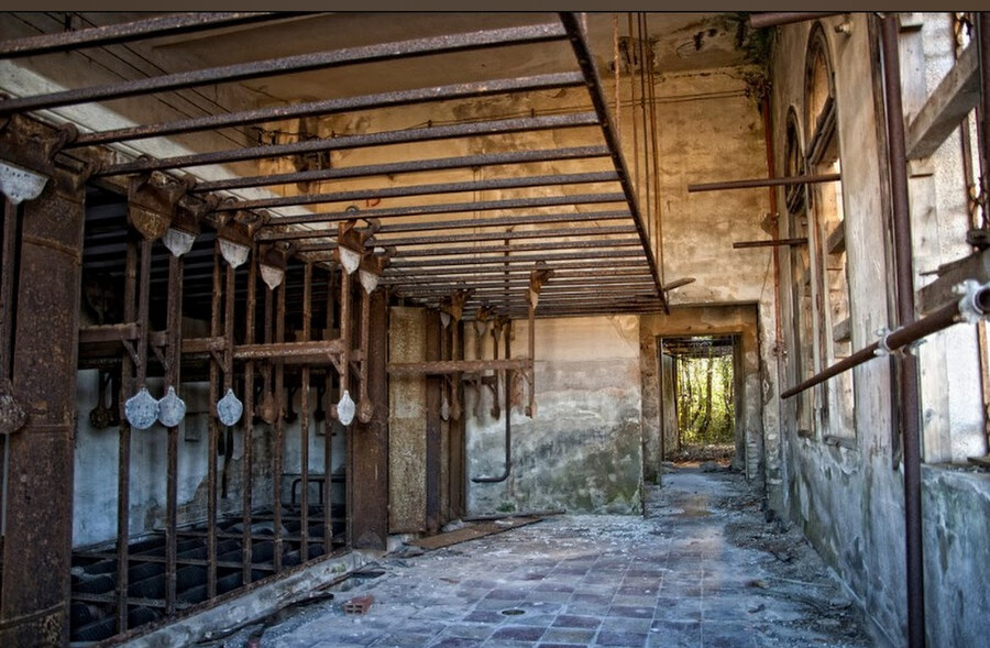 이탈리아에서 유령이 나온다고해서 유명한 어느 버려진 섬.jpg_16.jpg