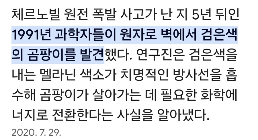 방사선 먹는 곰팡이_2.jpg