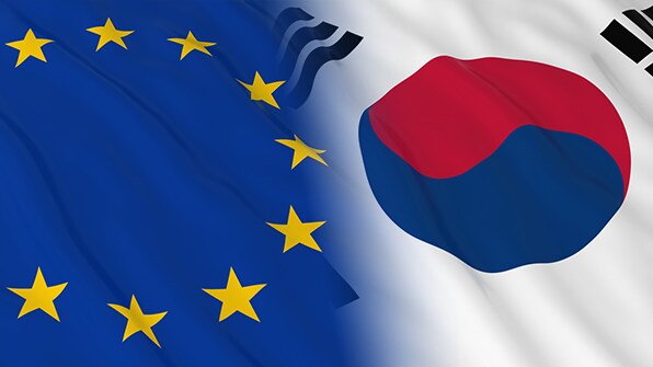 상상을 초월하는 개와 늑대의 유전자 차이_3.png