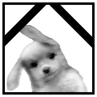 가디언 테일즈가 망했다고 하네 ㄷㄷ_7.png