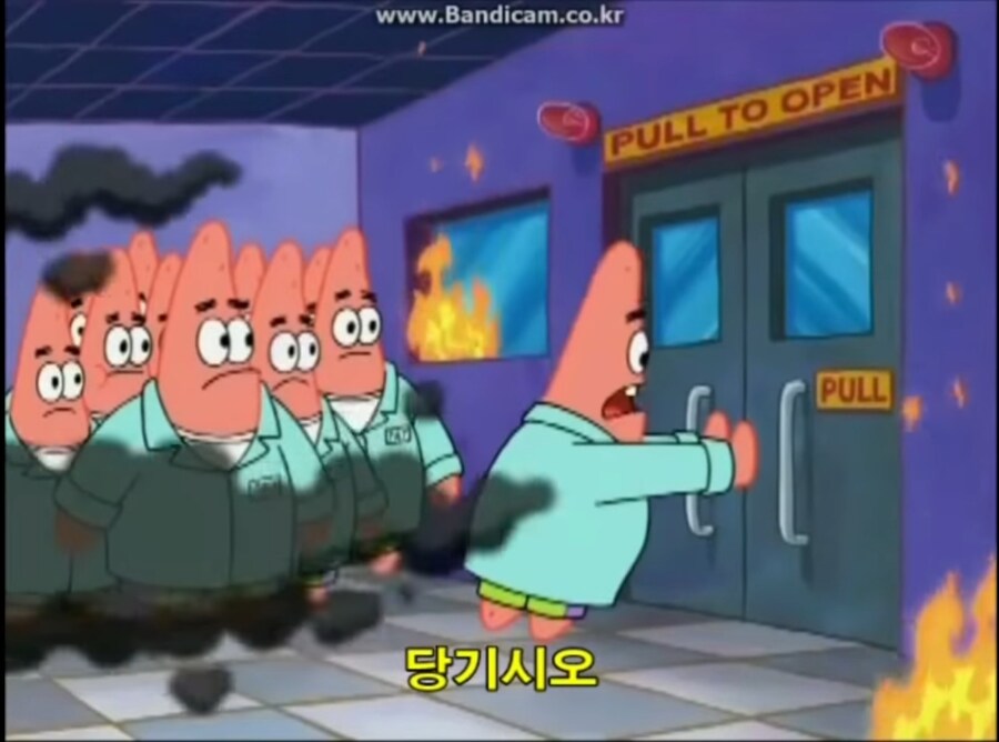 한국인 맞춤 전용 트랩_1.jpg