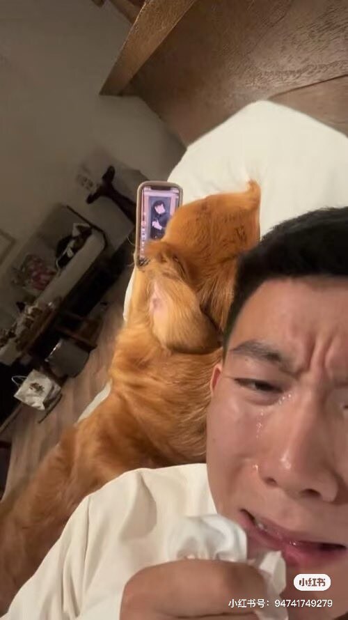 쮸인님이 먼저 바람 피웠잖아!_2.jpg