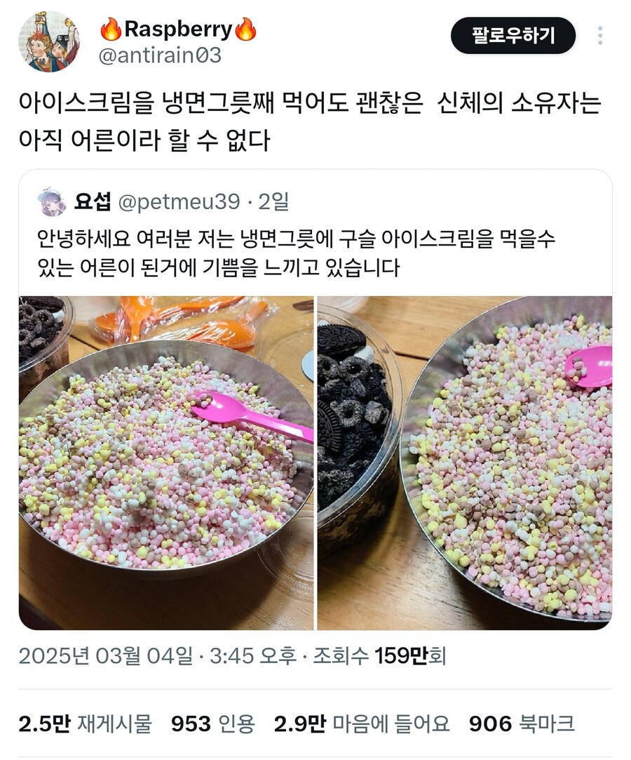 어른이 되어야만 할수있는 것_1.jpg