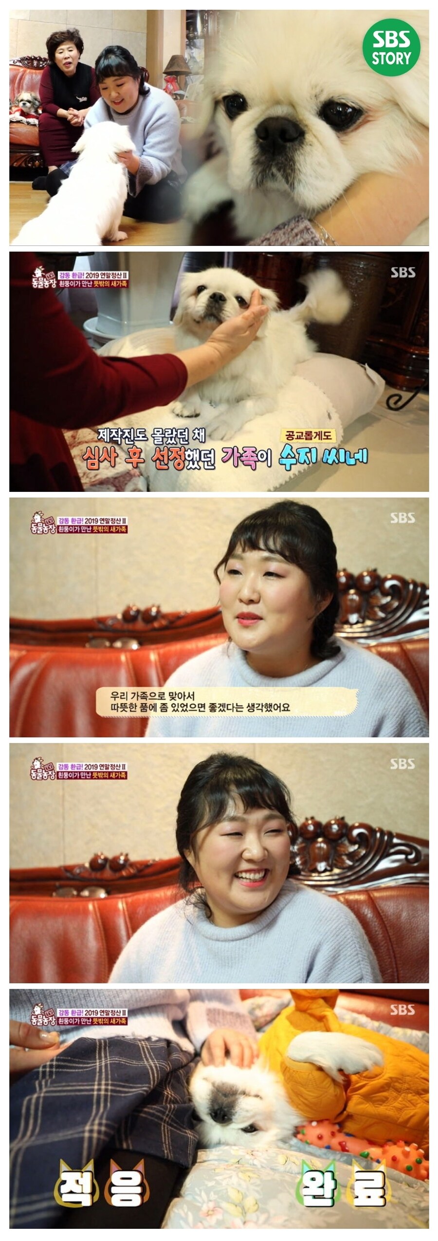 공중화장실에 개 묶어두고 간 할머니_2.jpg