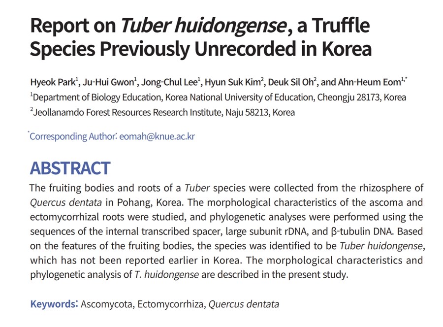 의외로 트러플은 포항에서도 자람_2.png