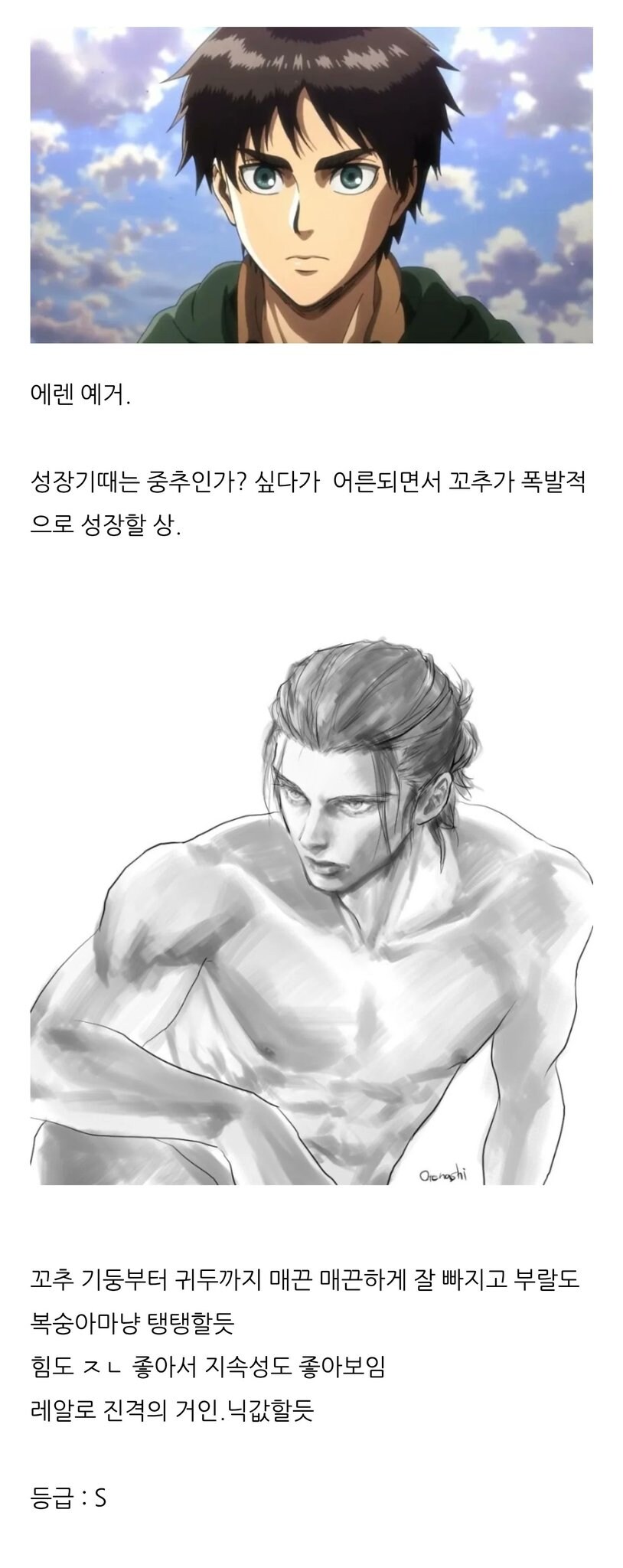살득력 있는 진격거 분석_1.jpg