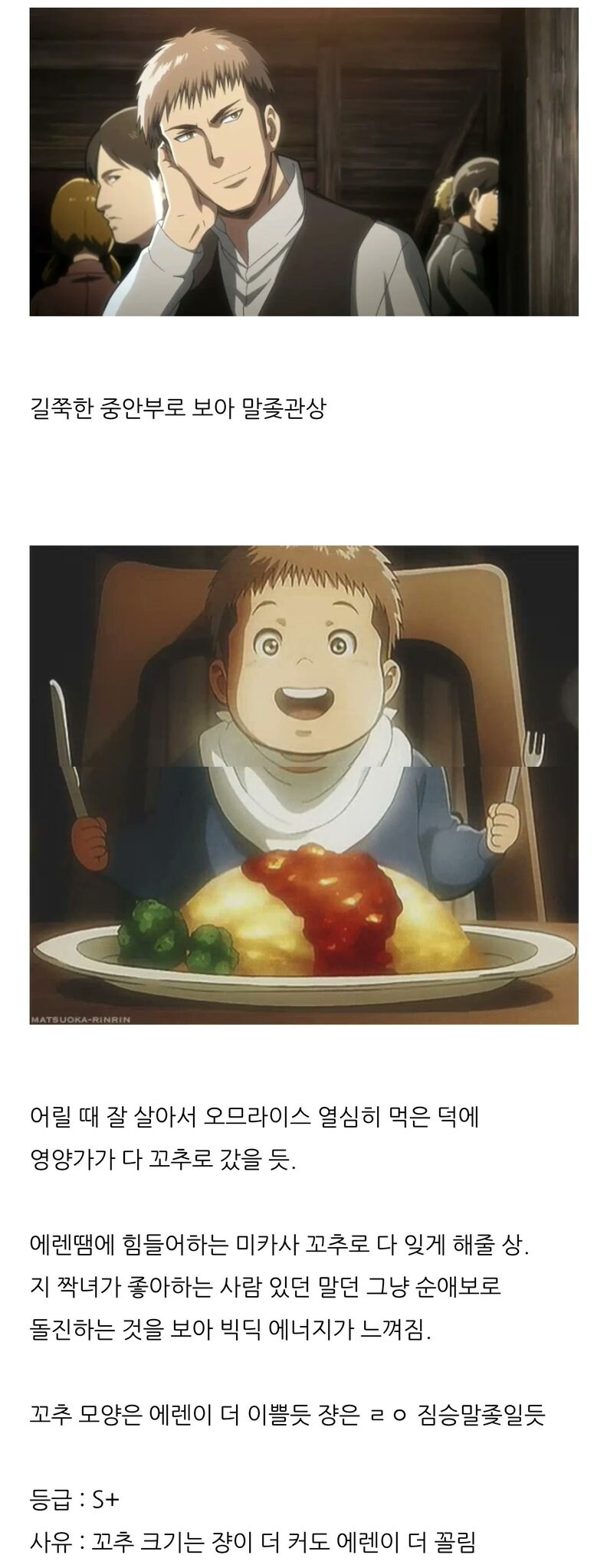 살득력 있는 진격거 분석_6.jpg