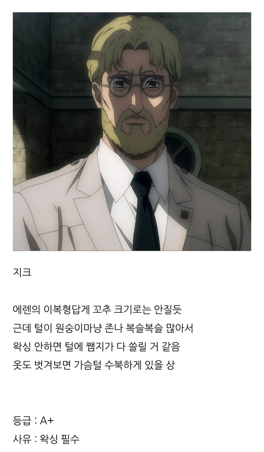 살득력 있는 진격거 분석_9.jpg