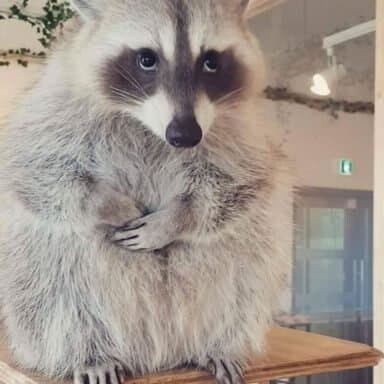 창작자라면 해선 안되는 행동.humor_2.jpg