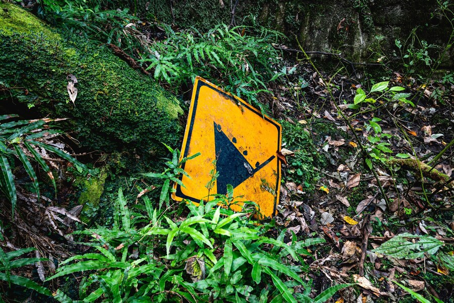 일본, 폐도로의 막다른 길 풍경_4.jpg