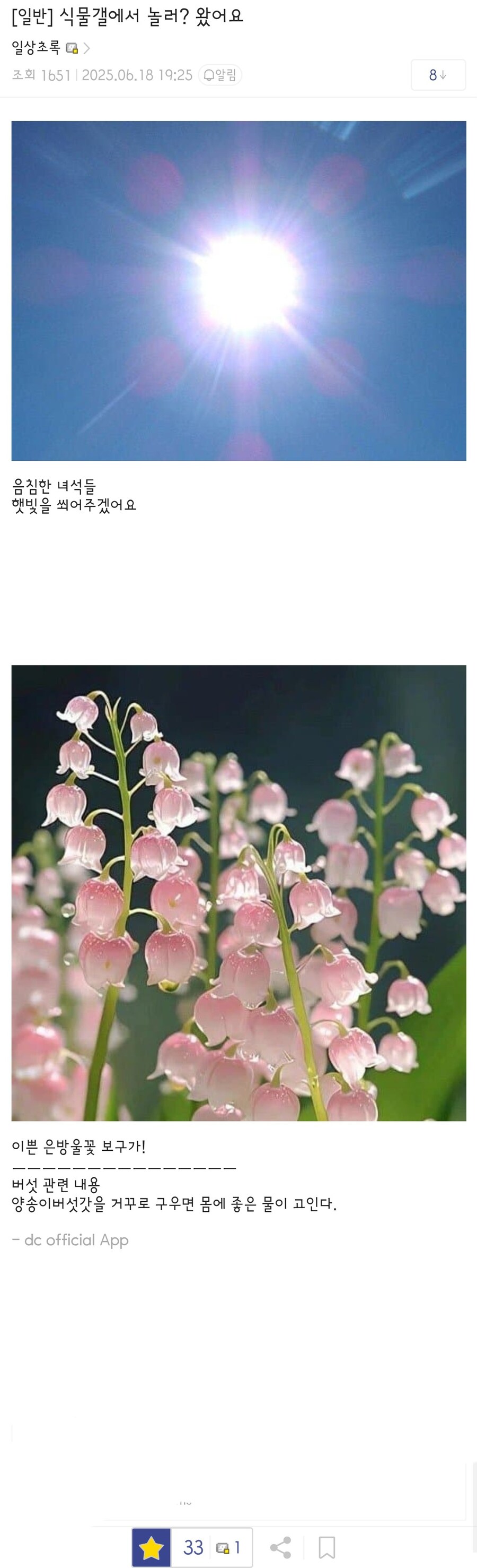 버섯갤을 침공하는 사악한 햇빛쨍쨍단들_1.jpg