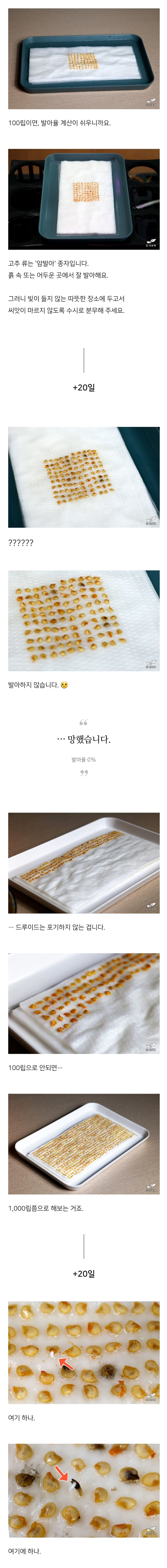 검역기관 머리 아프게 만든 블로그글_3.jpg