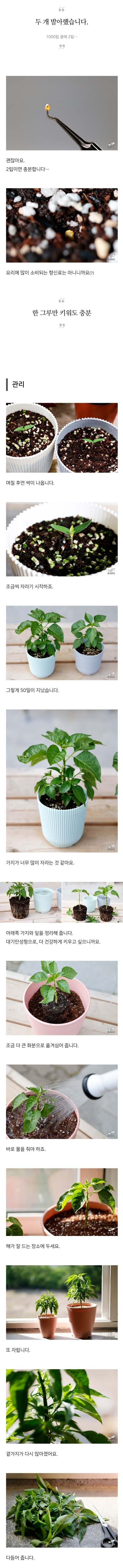 검역기관 머리 아프게 만든 블로그글_4.jpg