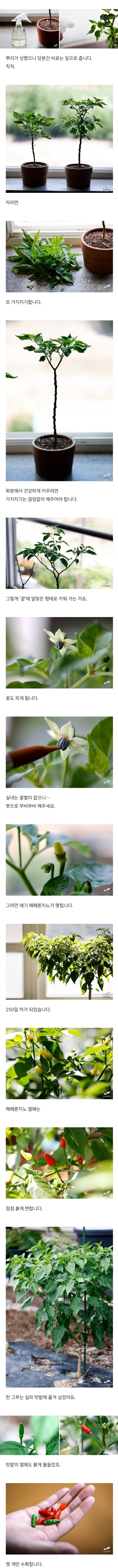 검역기관 머리 아프게 만든 블로그글_6.jpg