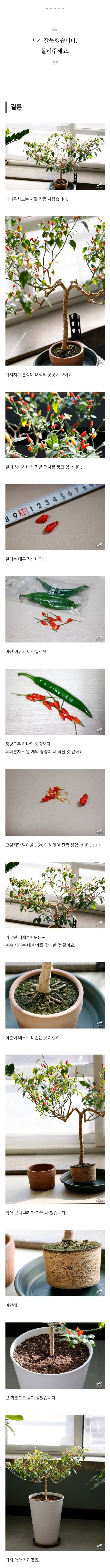 검역기관 머리 아프게 만든 블로그글_8.jpg