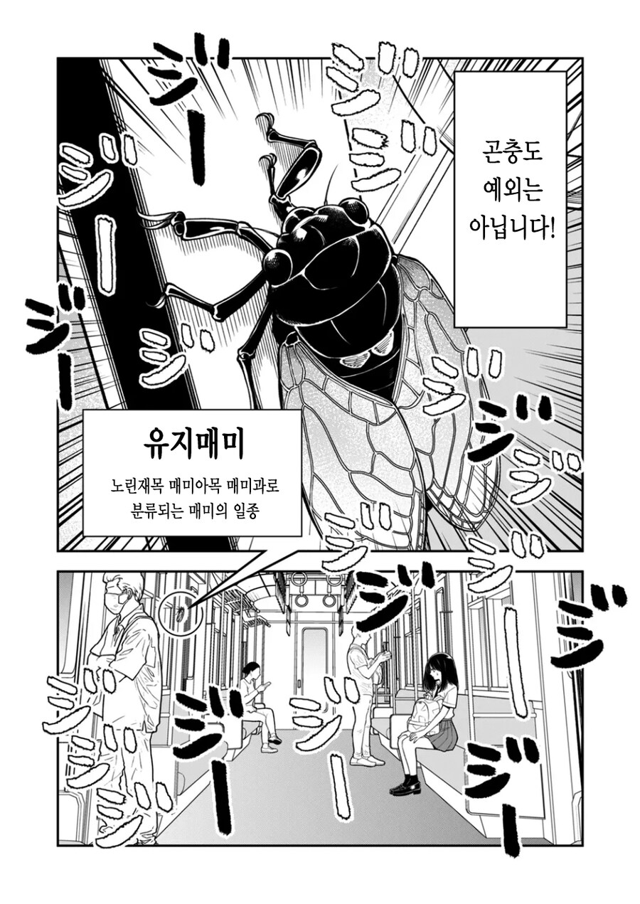 동물과 이야기 할 수 있는 여고생.manhwa_2.jpg