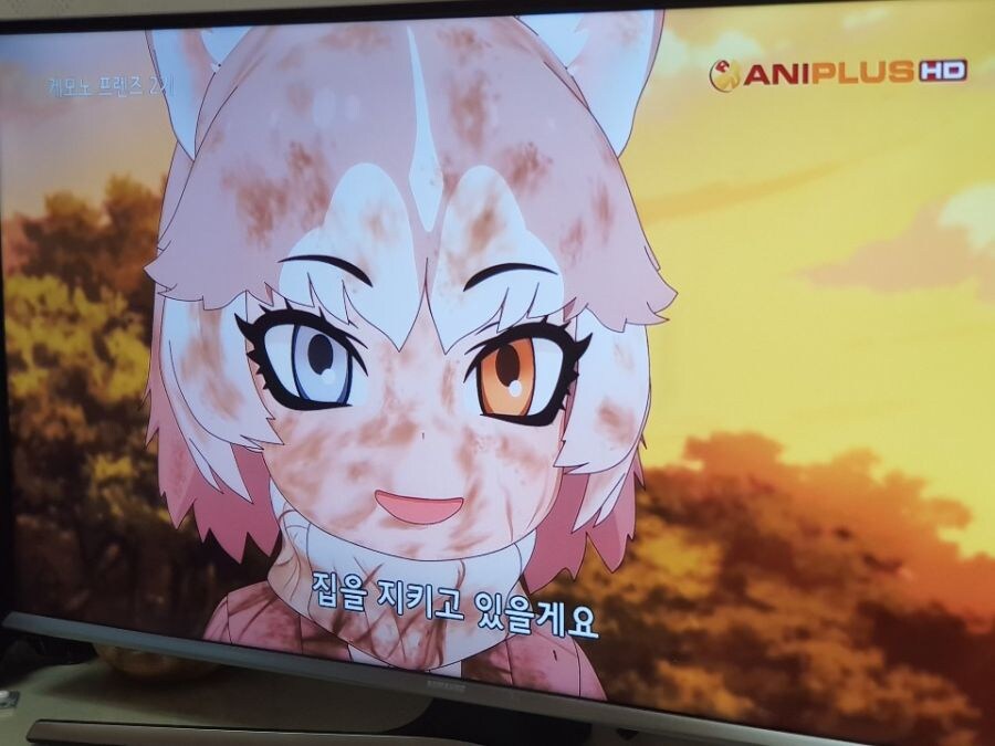 전설의 힐링 애니메이션 국내 티비 상영!! 甲.jpg_1.jpg