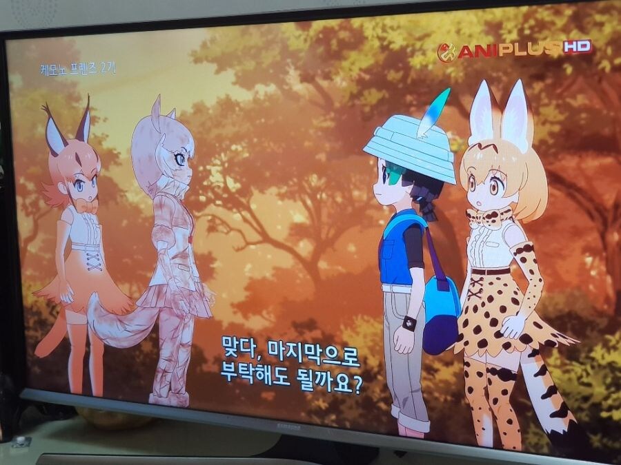 전설의 힐링 애니메이션 국내 티비 상영!! 甲.jpg_2.jpg