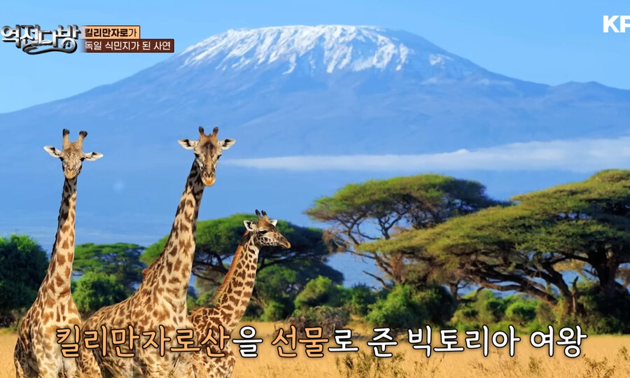 금수저 집안 자식의 생일선물.jpg_4.jpg