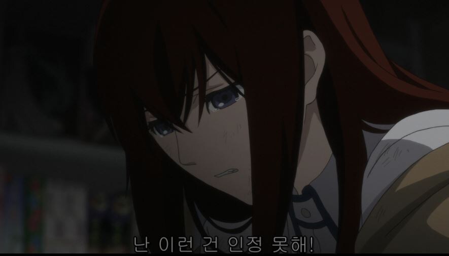 슈타게 극장판 요약_10.jpg