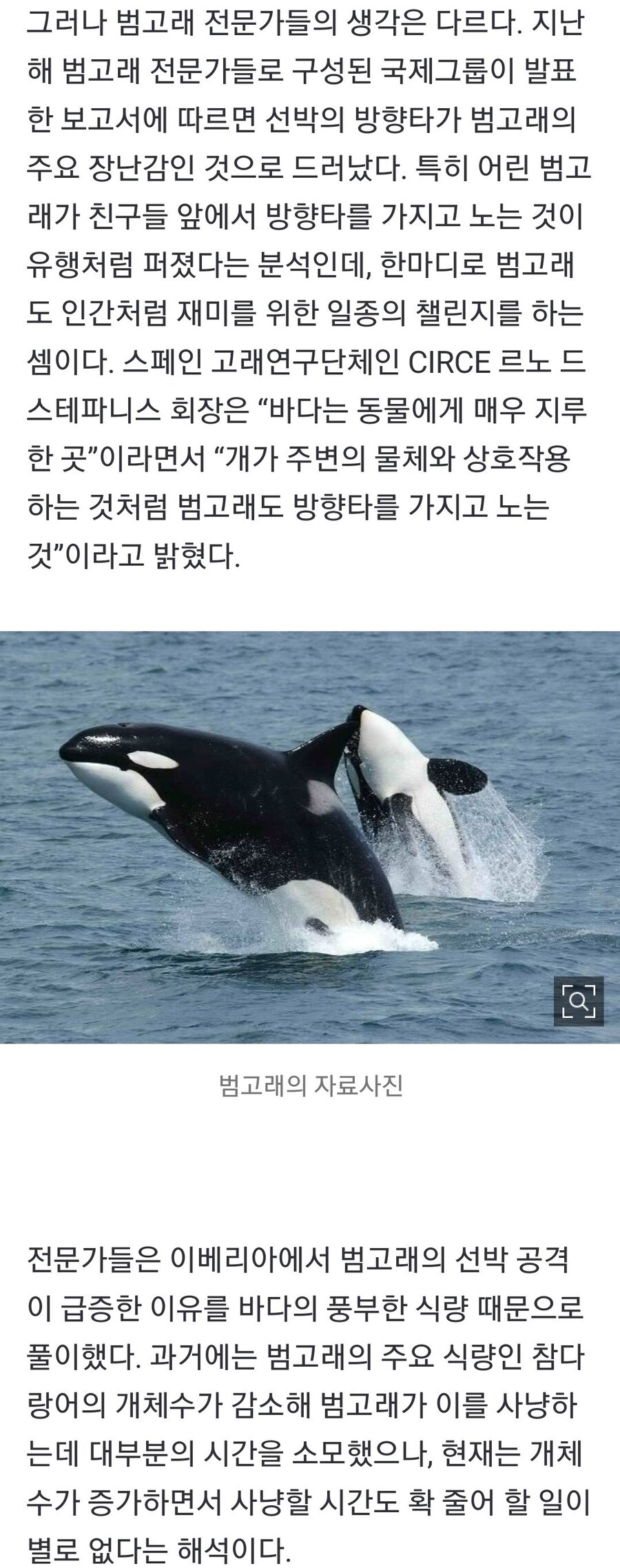 인터넷에 떠도는 동물 짤의 진실_2.jpg