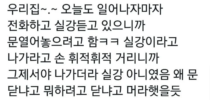 한국에서 태어나면 의외로 허락받지 못 하는 권리_9.webp