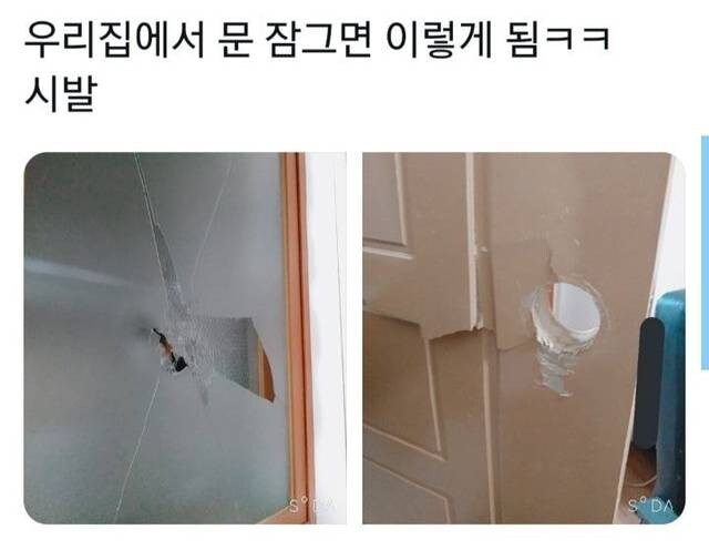 한국에서 태어나면 의외로 허락받지 못 하는 권리_1.jpg