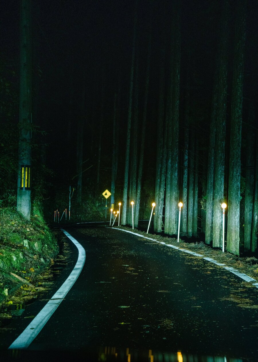 구글 지도가 안내해 준 음침한 고갯길️_3.jpg