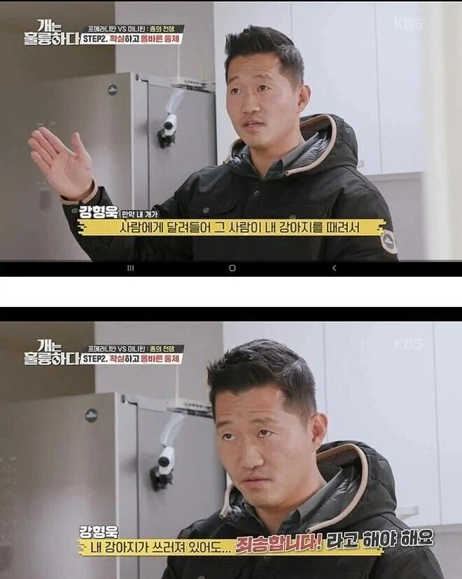 늑구 야생에 풀고 공존 이야기 나오는게 웃긴 이유_1.webp