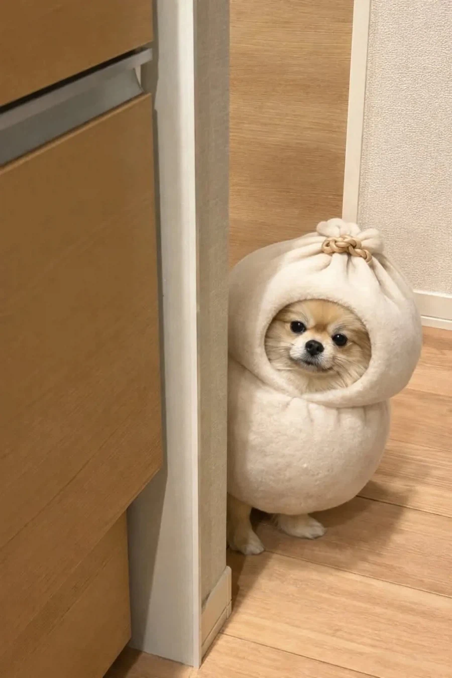 니들 만두 남기지 말고 꼭 다 먹어라..._1.webp