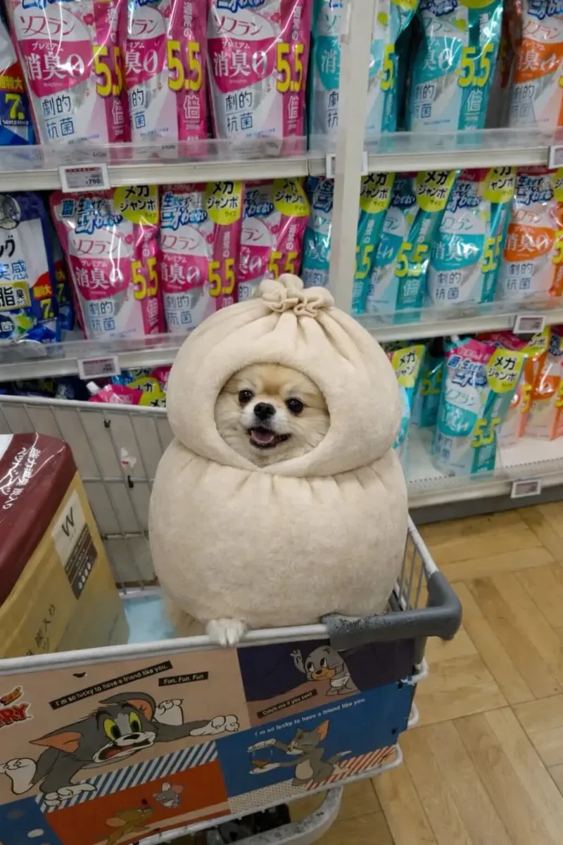 니들 만두 남기지 말고 꼭 다 먹어라..._2.webp