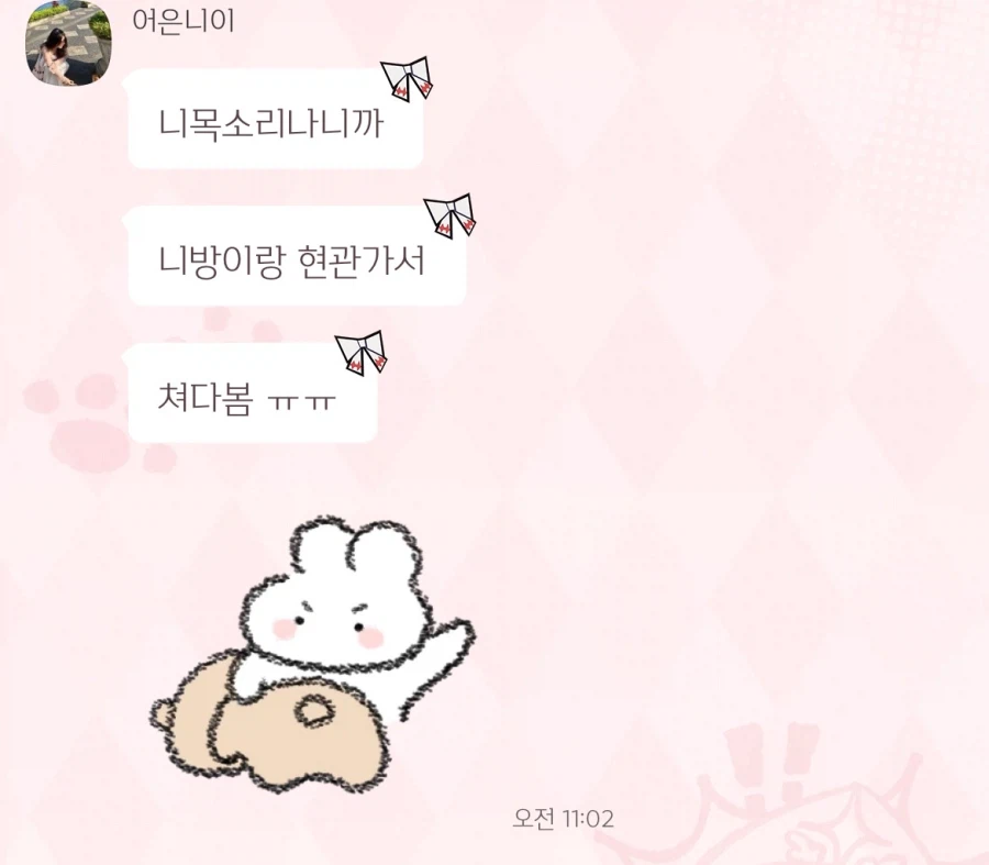 반려동물에게 하면 안 되는 거.jpg_2.webp