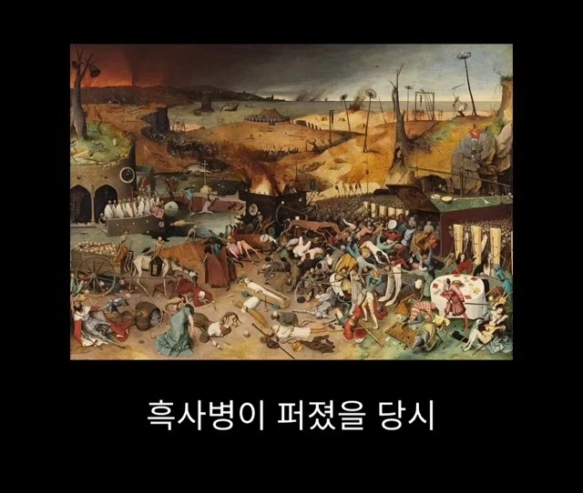 프랑스에서 흑사병 퇴치한 의사_1.webp