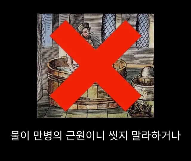 프랑스에서 흑사병 퇴치한 의사_2.webp