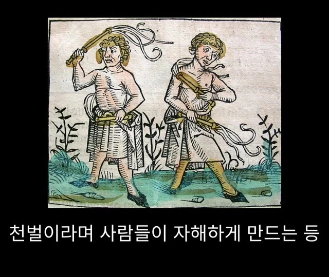 프랑스에서 흑사병 퇴치한 의사_4.webp